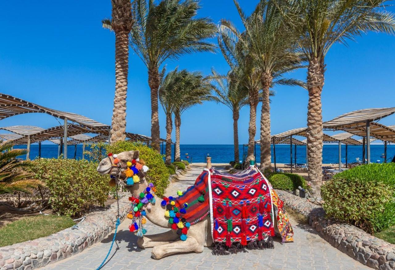 Sphinx Aqua Park Beach Resort Hurghada Exteriör bild